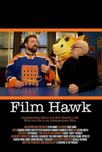 Poster for Film Hawk
