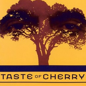 Taste of Cherry photo 11