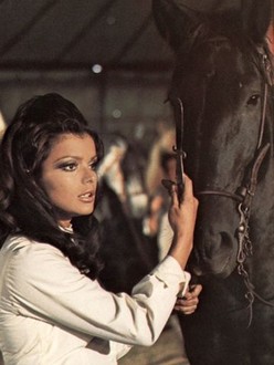 タ*シ様 DeliciousTaylormade The BlackBeauty Black Beauty (1971) - IMDb