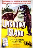 Unknown Island poster image