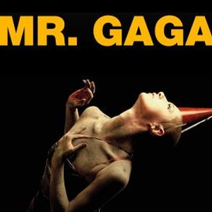Mr. Gaga photo 6