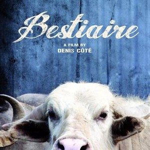 Bestiaire (2012) photo 11