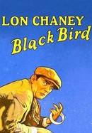 The Blackbird poster image