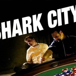 Shark City photo 1