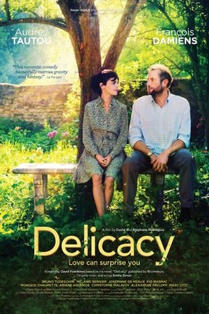 Delicacy poster