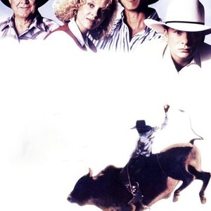 My Heroes Have Always Been Cowboys photo 2