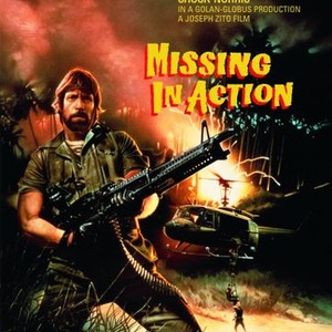 Missing in Action photo 7