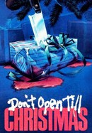 Don't Open Till Christmas poster image