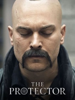 The Protector Season 4 Rotten Tomatoes