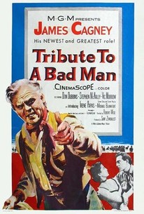 Poster for Tribute to a Bad Man