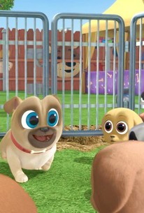 Puppy Dog Pals: Season 2, Episode 23 - Rotten Tomatoes