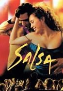 Salsa poster image