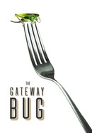 The Gateway Bug poster image