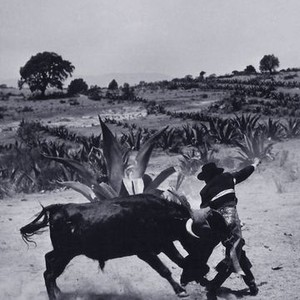 Love Has Many Faces (1965) photo 3