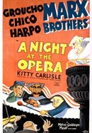 A Night at the Opera poster image