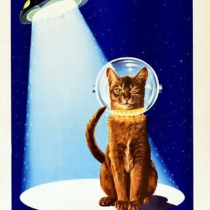 The Cat From Outer Space photo 3