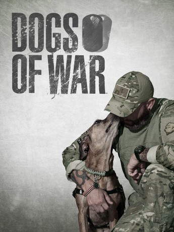 【正規販売店】 Season War: of Dogs 1 Tomatoes Rotten | コレクション