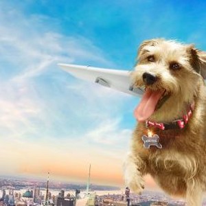 "Robo-Dog: Airborne photo 4"