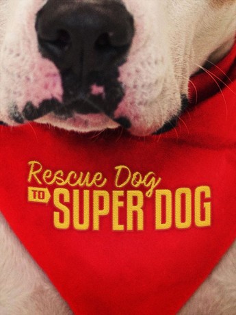Rescue dog to super dog store