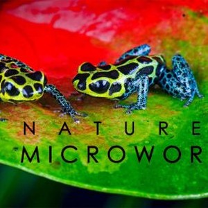 Nature's Microworlds - Rotten Tomatoes