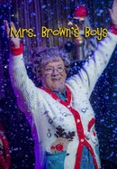 Mrs Brown's Boys poster image