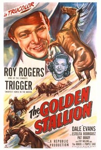 Poster for The Golden Stallion