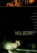 Mulberry Street poster image