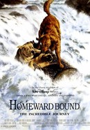 Homeward Bound: The Incredible Journey poster image