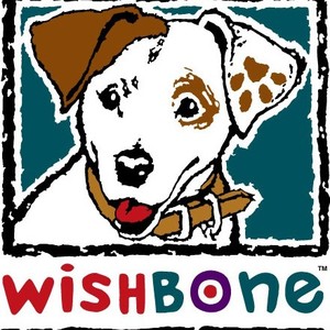 wishbone tv show