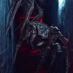 Abyssal Spider - Rotten Tomatoes