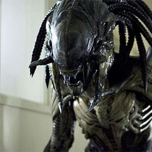 Alien vs. Predator - Rotten Tomatoes