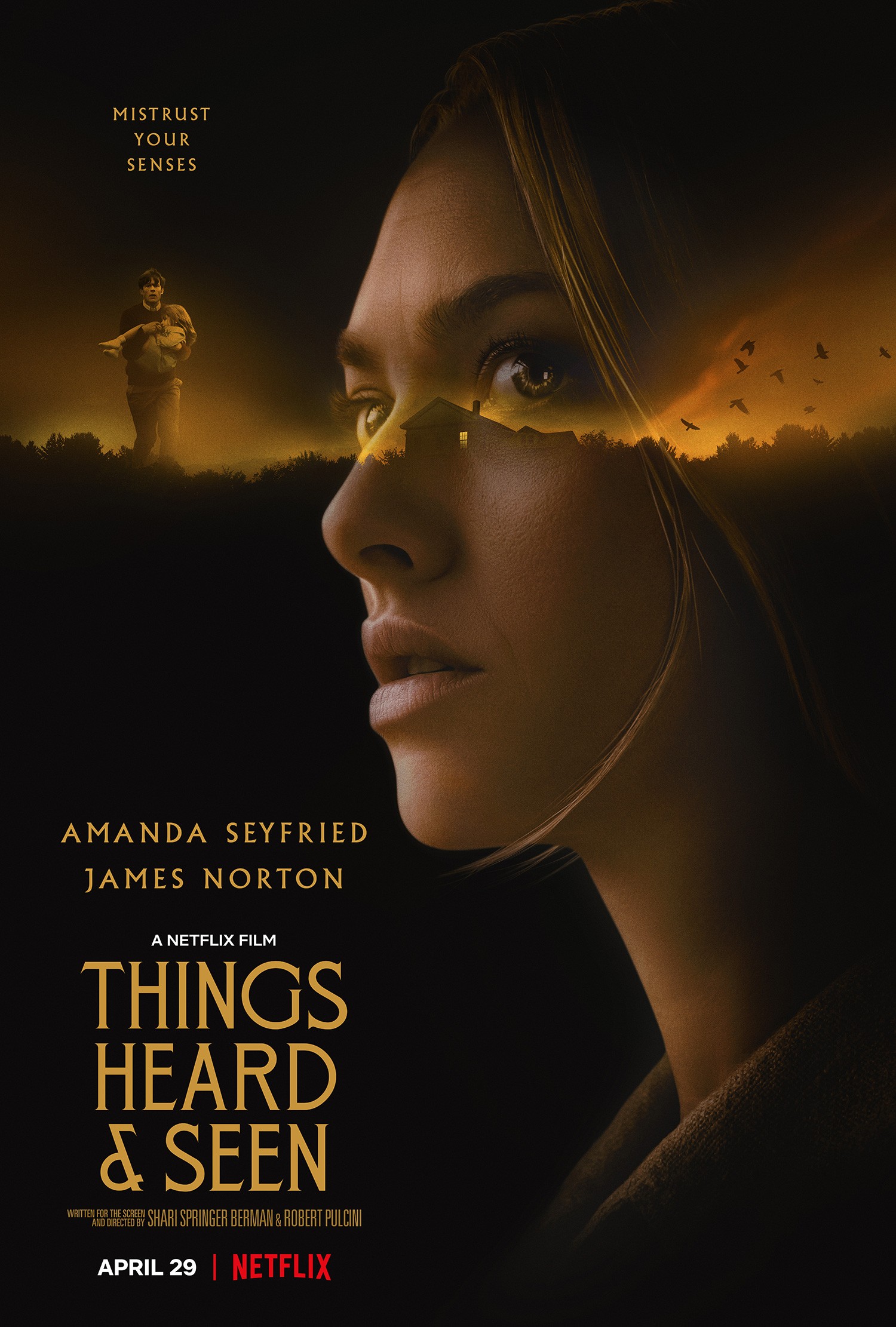 Things Heard Seen Movie Reviews