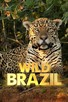 Poster for