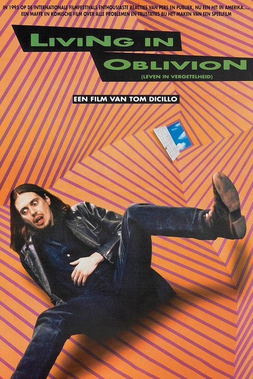 Living in Oblivion poster