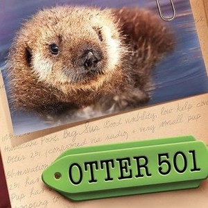 Otter 501 photo 2