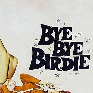 "Bye Bye Birdie photo 10"