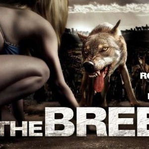 "The Breed photo 13"