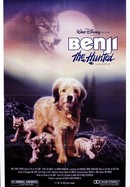 Benji the Hunted poster image
