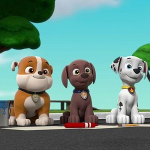 PAW Patrol: Season 9, Episode 22 - Rotten Tomatoes