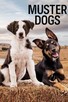 Poster for