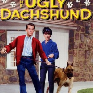 The Ugly Dachshund (1966) photo 9