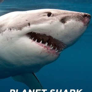 Planet Shark - Rotten Tomatoes