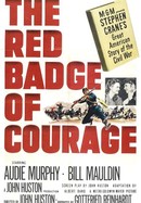 The Red Badge of Courage poster image