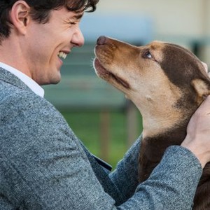 A Dog's Way Home (2019)
