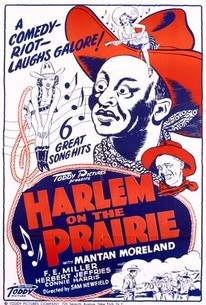 Harlem on the Prairie poster