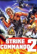 Strike Commando 2 poster image