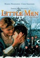 Louisa May Alcott's Little Men poster image