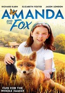 Amanda and the Fox poster image