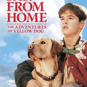 Far From Home: The Adventures of Yellow Dog - Rotten Tomatoes