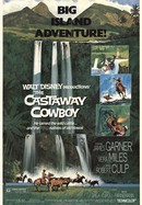 The Castaway Cowboy poster image